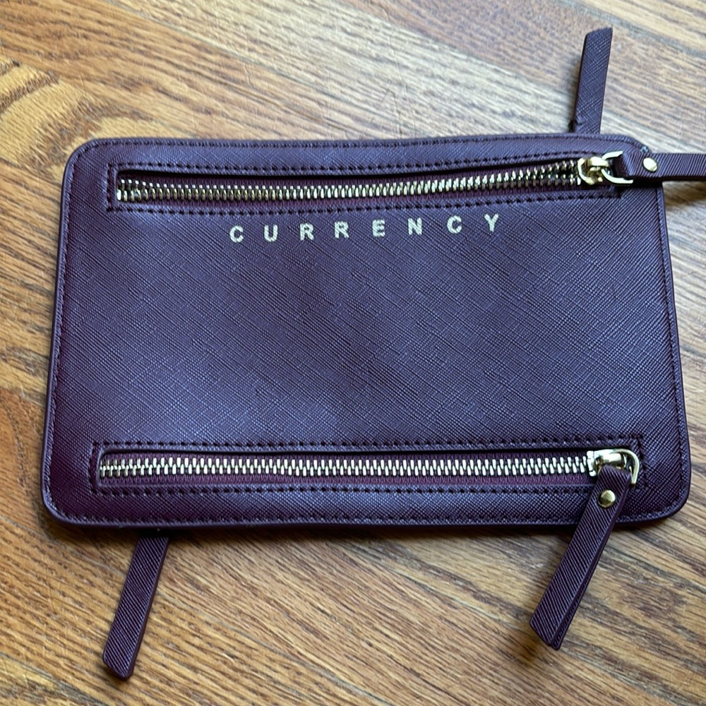 Passport and currency carrier